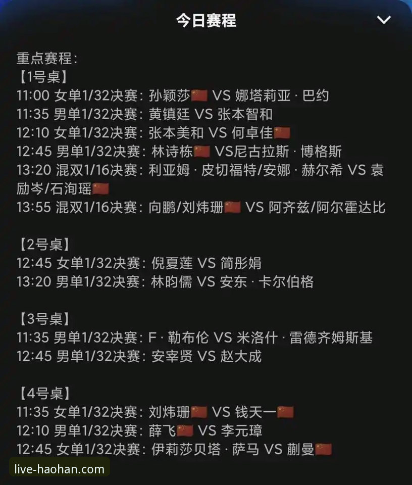 浩瀚体育赛事回放功能全面解析：如何高效回顾精彩比赛瞬间